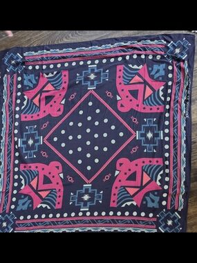 Double D Ranch "Rainbird" Scarf